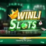 Winli slots game