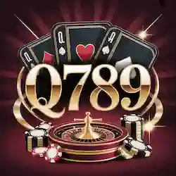 Q789 Game